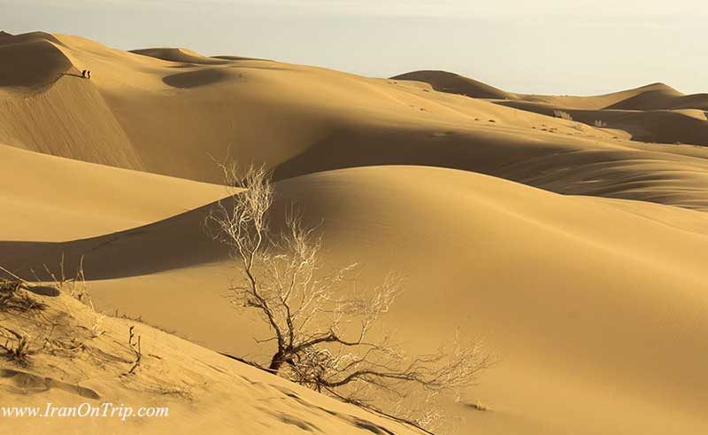 Maranjab-Desert-Kashan-Iran