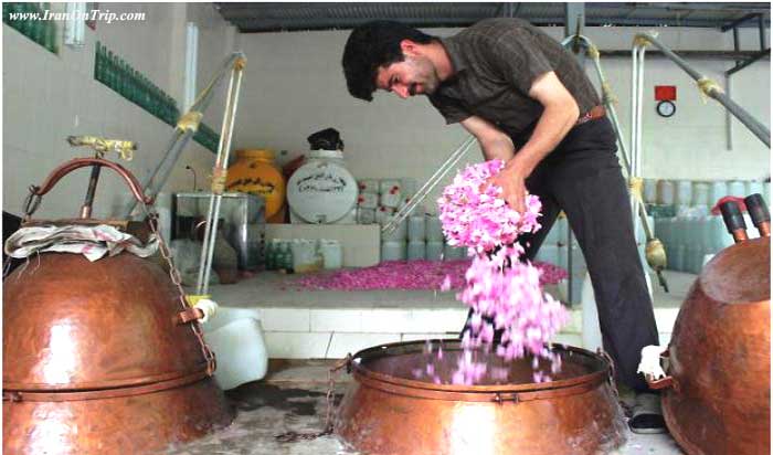 Rose-water-Festival in Kashan Iran