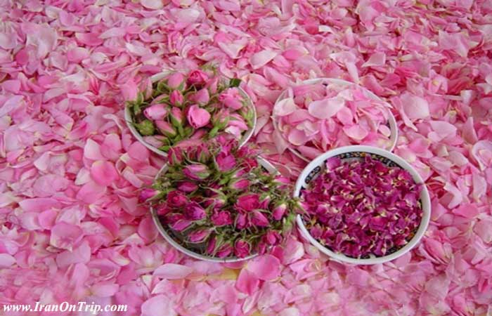 Rose-water-Festival in Kashan Iran