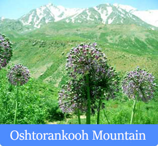  Oshtorankooh Mountain - Mountains of Iran